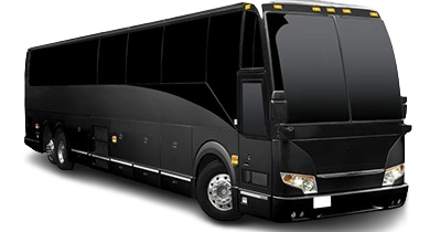 Party Bus Rental