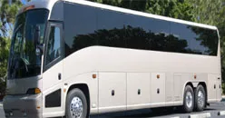 56 Passenger Minibus Rental