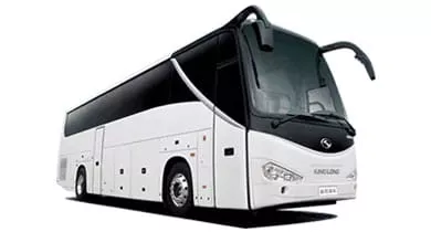 Best Paradise Coach Bus